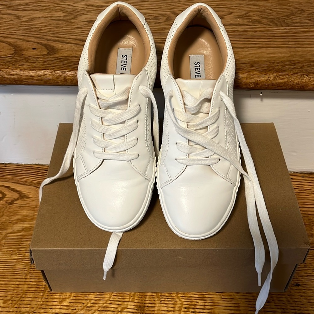 Steve Madden Toliver sneakers
